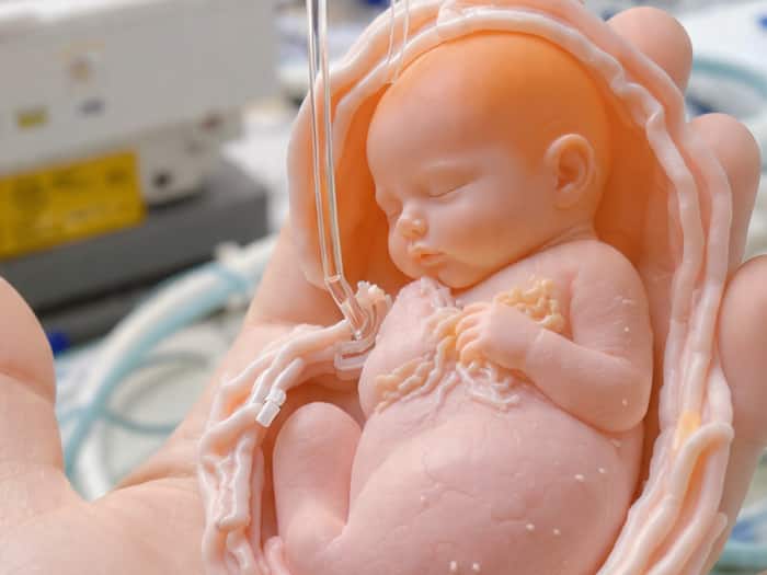 Human embryo replicate