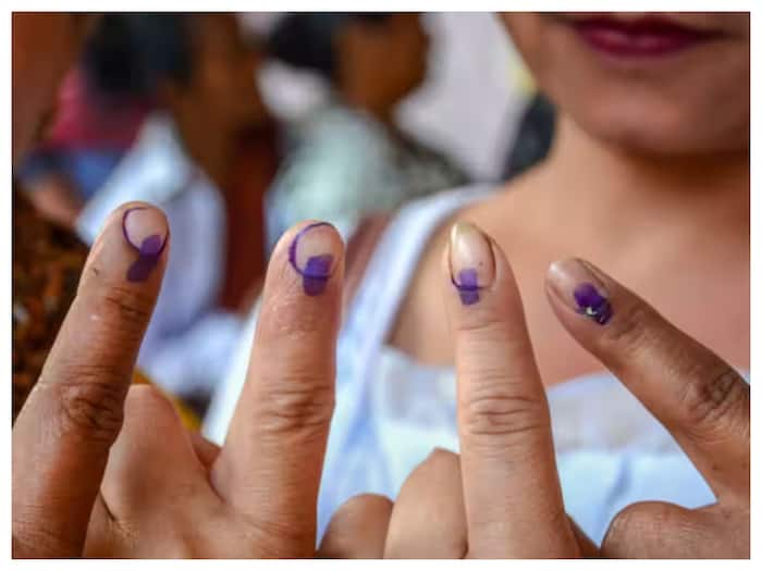 ink voting
