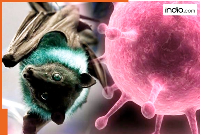 Nipah virus outbreak in West Bengal has raised alarm in China and parts of Southeast Asia, leading authorities to strengthen airport health checks ahead of the Lunar New Year.