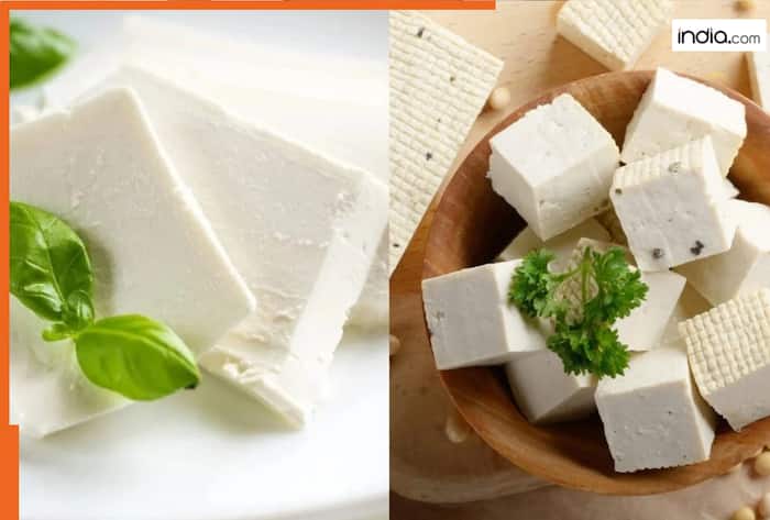 पनीर या टोफू? प्रोटीन इनटेक के लिए क्या ज्यादा बेहतर है?