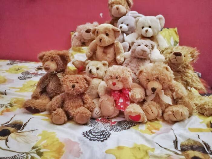 Plush toys for adults