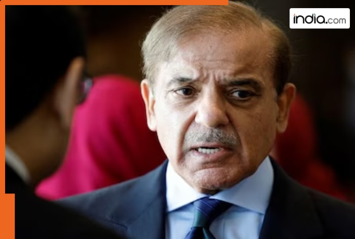 Pakistan dealing with new crisis: Power sector slides further as losses, theft and subsidies hurt economy