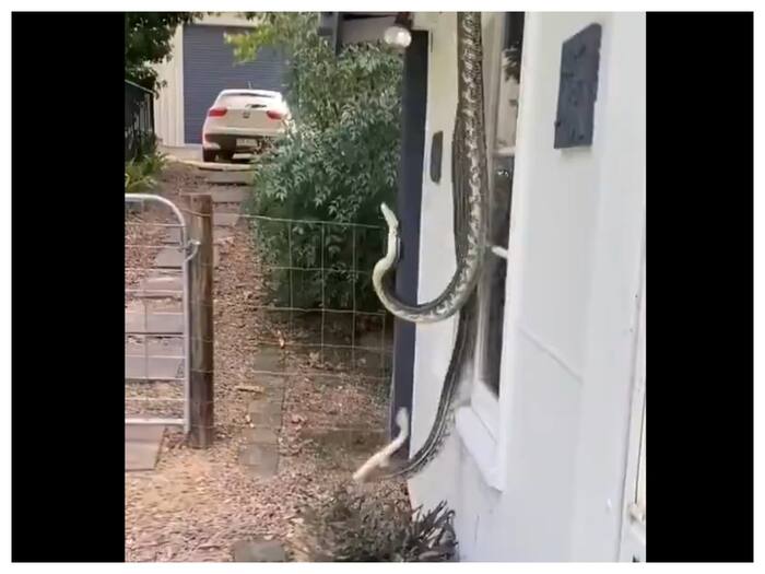 Naag Nagin Romance Video