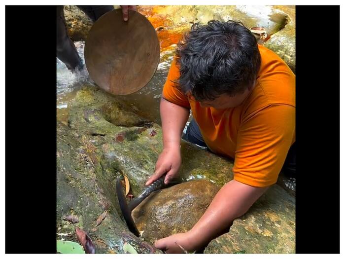 Gold Came Out From Stone