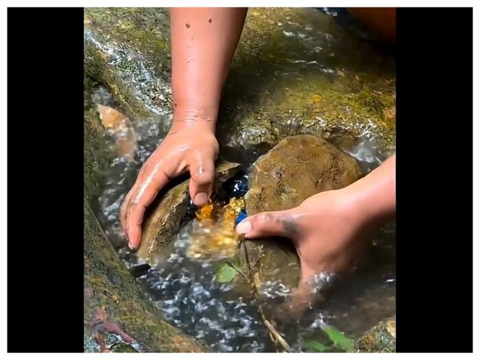 Gold Inside Stone Viral Video