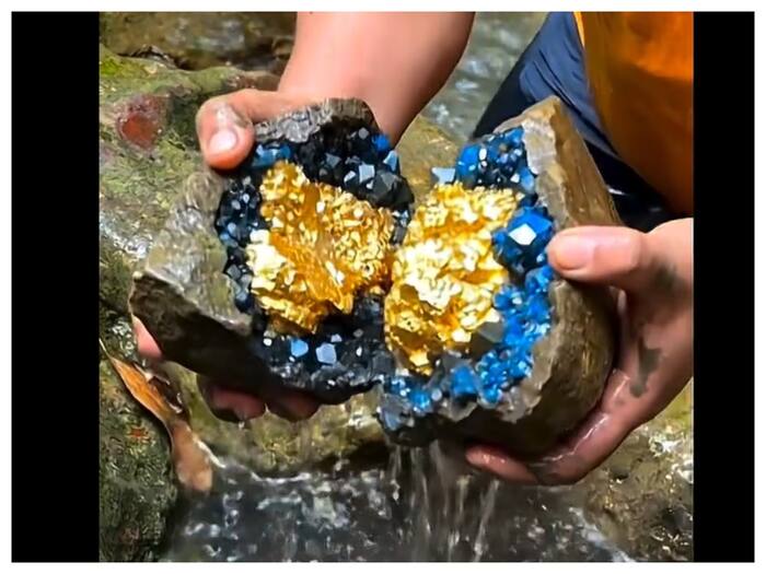 Viral Gold Finding Video