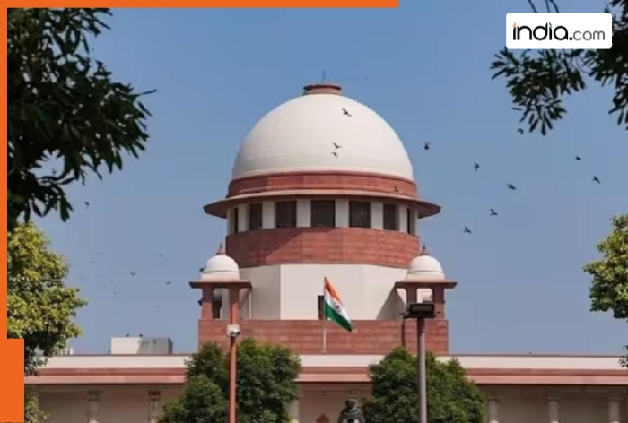 Stray Dogs Case Live HEARING: SC slams states, says we’ll impose heavy compensation on government responsible