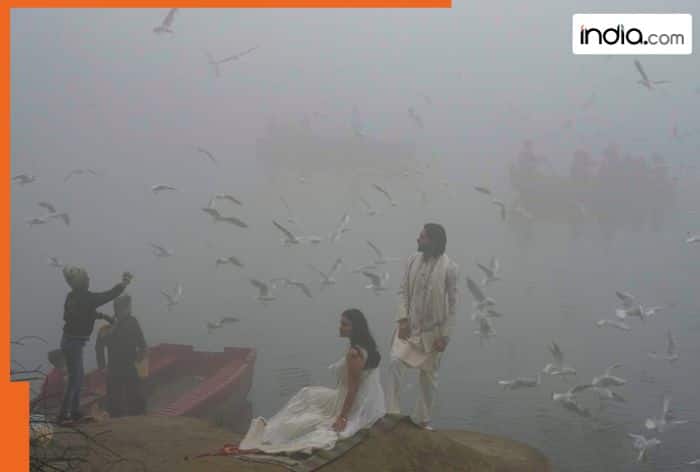 IMD Weather update today: Very dense fog conditions to continue in Punjab, Haryana, Uttar Pradesh; partly cloudy sky in Delhi-NCR till..., rainfall alert in...