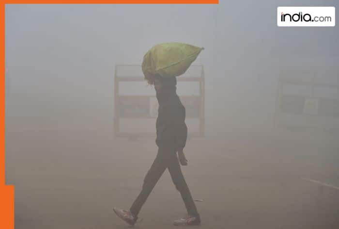 IMD Weather update today: Cold wave conditions likely to continue in Himachal Pradesh, Rajasthan; yellow alert issued for Delhi, minimum temperature to reach...