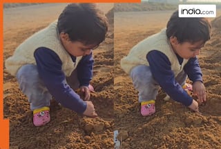 Little girl's innocence to grow 'toffee tree' wins hearts, watch viral video