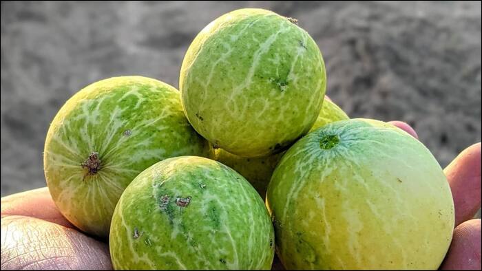 Ayurvedic Remedy To Reduce Blood Sugar