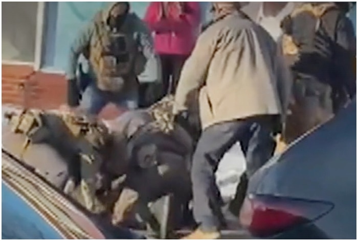 Immigration Raids: Man shot and killed by US federal agents in Minneapolis