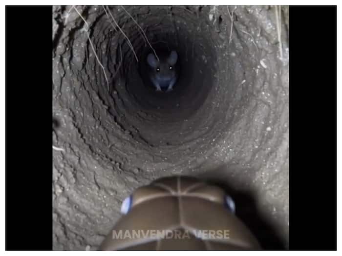 Man fitted camera on King Cobra