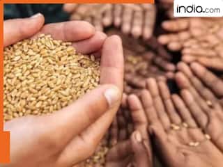 दिल्ली में बदल गया राशन कार्ड को लेकर ये नियम, अब इन लोगों को नहीं मिलेगा फ्री में चावल और गेहूं, समझ लें अपने काम की बात