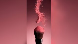 Professional Makeup Blush For Women