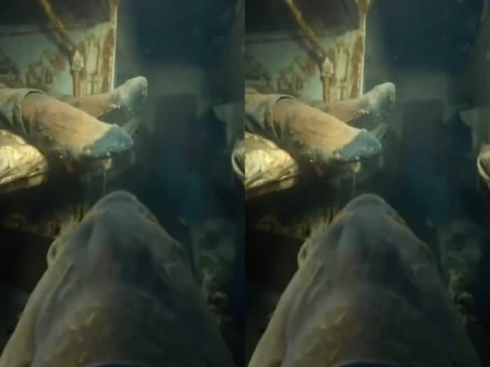 Ocean exploration with fish cam
