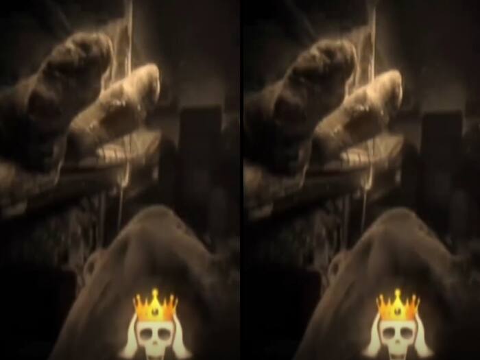 Deep sea mystery with fish camera