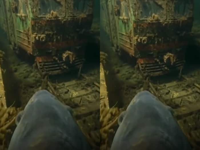 Fish swimming with camera underwater