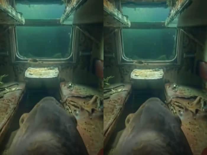 Fish camera ocean adventure gone viral