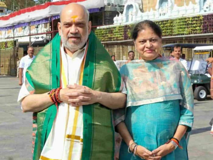Amit Shah Monthly Income
