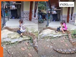Azgar Ka Video: अजगर की पीठ पर बैठकर सवारी करने लगी छोटी बच्ची, फिर जो दिखा रोंगटे खड़े हो जाएंगे | देखें वीडियो