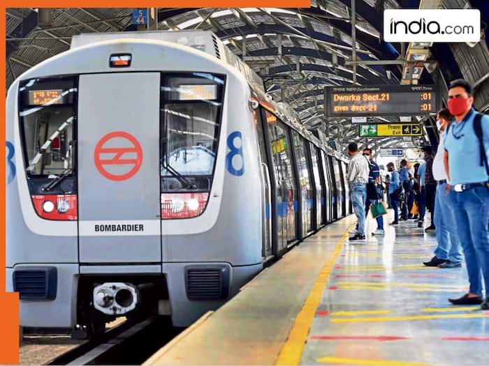 Maximum luggage weight Delhi Metro