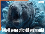 भारत से 5500 KM दूर समुद्र तट पर छिप कर बैठा था 'अमर जीव' की नई प्रजाति, 50 साल से था गुम, मिलते ही झूम उठे वैज्ञानिक