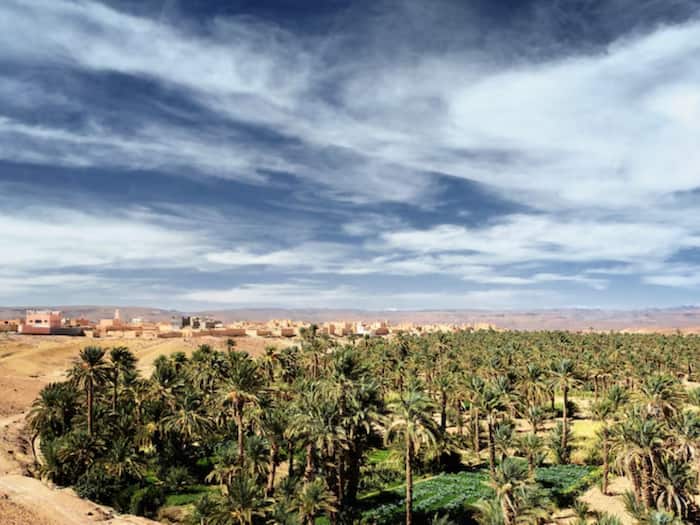 UAE water security strategy 2036