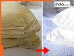 दिखता है साफ लेकिन बदबू मार रहा है तकिया? बिना पानी इन 4 तरीकों से करें साफ, एक दम चकाचका दिखेगा