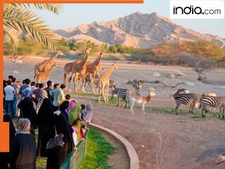 ये हैं दुनिया के सबसे विशाल चिड़ियाघर! जिन्हें एक दिन में घूमना है नामुमकिन