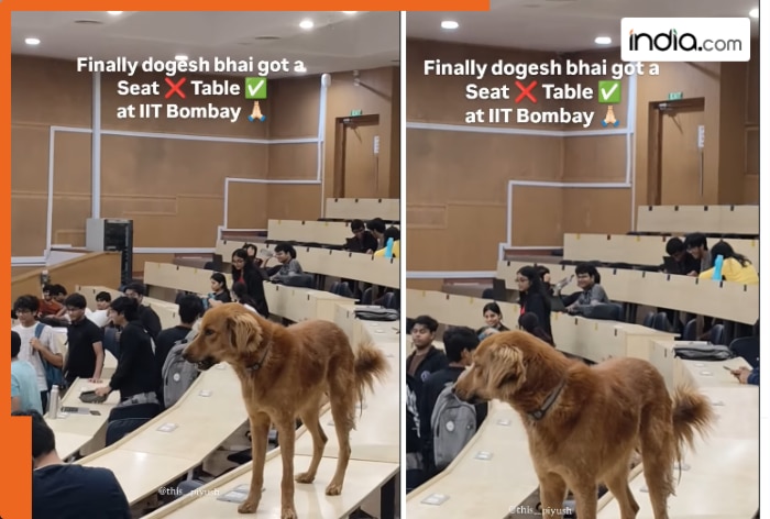‘Dogesh bhai got a table at IIT Bombay’ video goes viral; internet jokes about animal quota ‘Dogesh bhai got a table at IIT Bombay’ video goes viral; internet jokes about animal quota