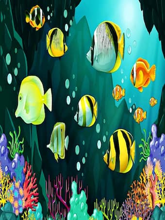 मछलियों की तस्वीर में कहां छिपी है स्टार फिश, चैंपियन लोग ढूंढ ही लेंगे