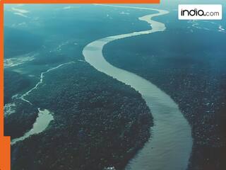भारत की सबसे अनोखी नदी, अकेले 5 राज्यों से होकर गुजरती; क्या आपको पता है नाम?