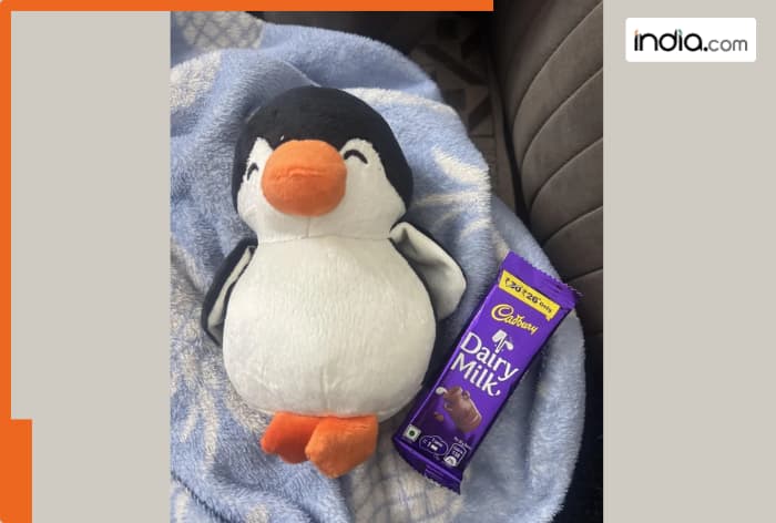 Husband loses job but gifts penguin plushie to wife on Valentine’s, netizens react