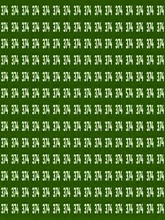 374 की भीड़ में कहां छिपा है अलग नंबर, बाज सी नजर वाला ही ढूंढ पाएगा