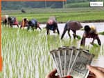 जारी होने वाली है PM Kisan की अगली किस्त, आपके अकाउंट में पैसे आएंगे या नहीं, जल्दी चेक करें लिस्ट में अपना नाम