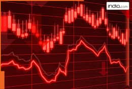 Stock Market News: Shares of THIS company in focus after it declares final dividend, check full details here
