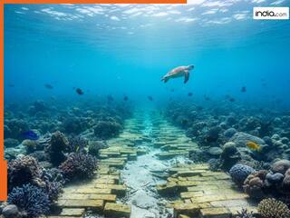 समुद्र में 10,000 फीट नीचे मिला रहस्यमयी रास्ता, एलियन से है नाता? वैज्ञानिक भी हैरान