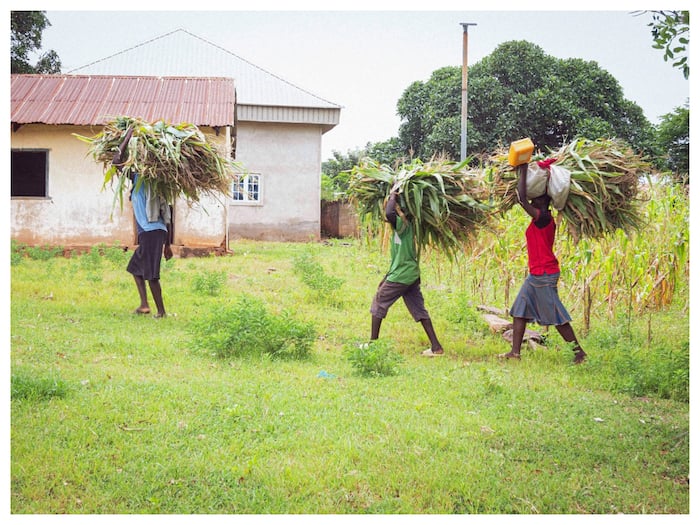 UP Ko Pehle Kis Naam Se Bulate The