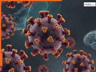 कोरोना के बाद भारत में तेजी से फैल रहा ये वायरस, बंगाल में पहली मौत, जानिए कौन सा है ये संक्रमण-कैसे फैलता है?