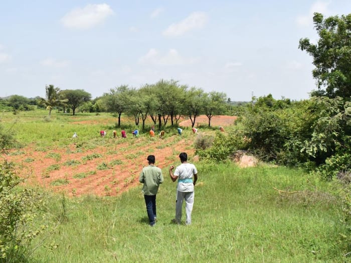 Government land