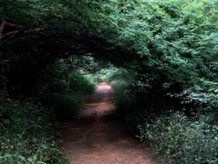 Delhi most haunted places