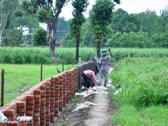 Government land