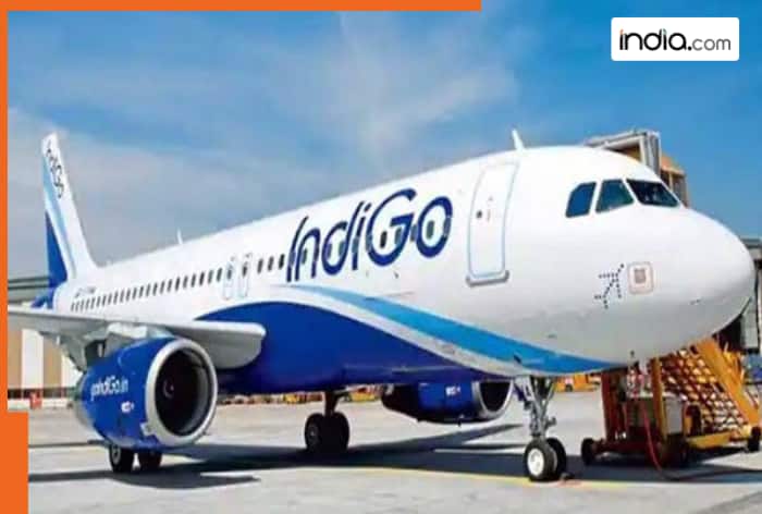 Months after IndiGo flight disruptions, company appoints William Walsh as new CEO