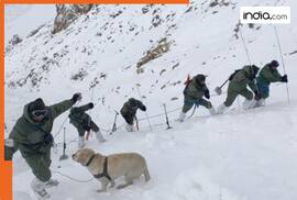 7 killed, 5 injured after massive avalanche hits Zoji La in Ladakh; Srinagar-Leh highway blocked