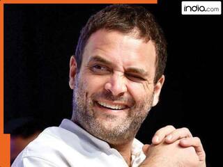 राहुल गांधी पॉलिटिक्स में नहीं होते तो क्या करते? कांग्रेस नेता ने जो बताया, जानकर हैरान हो जाएंगे!