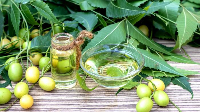 Does Neem Control Blood Sugar