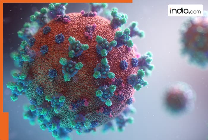 What is the new COVID variant Cicada in the US and will it impact India? Netizens say, 'Another way to...'