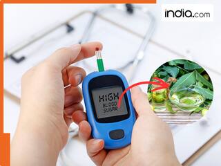 क्या वाकई नीम के पत्ते चबाने से High Blood Sugar लेवल हो जाता है कंट्रोल? जानें सेवन का सही तरीका