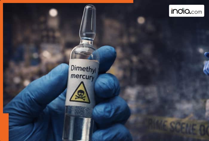 What's 'dimethylmercury' used in Dhurandhar 2? Know everything about this chemical